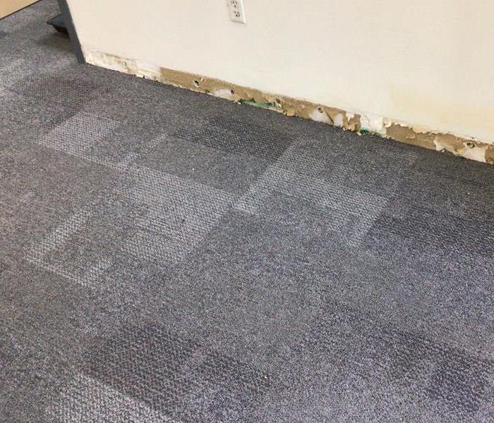 dry carpet
