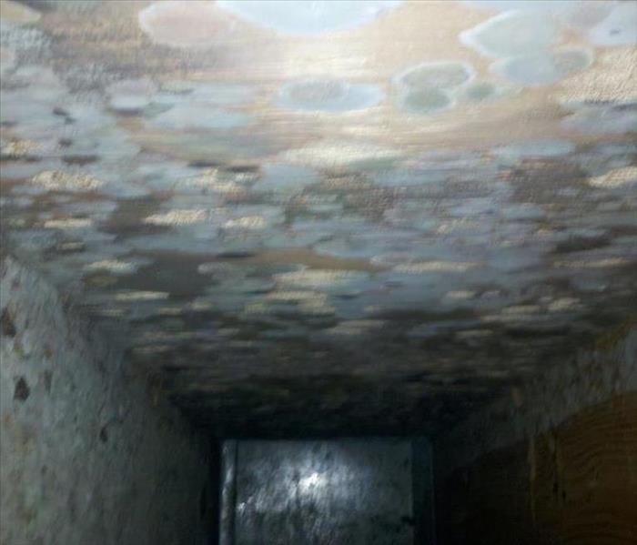 Mold inside a metal ducting
